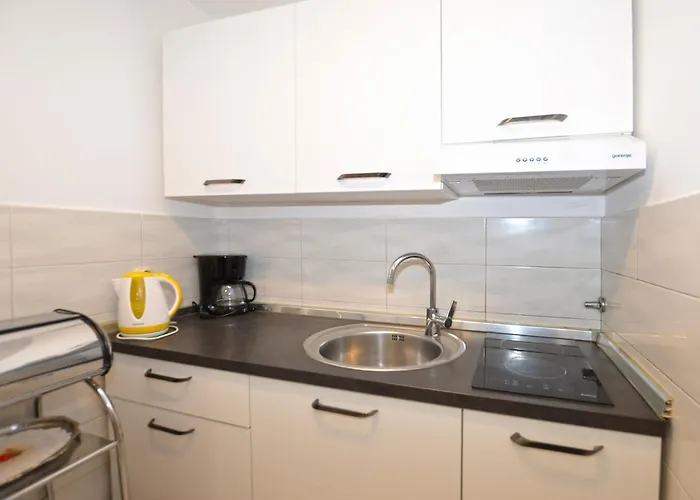 Appartamento Ljiljana Rovigno