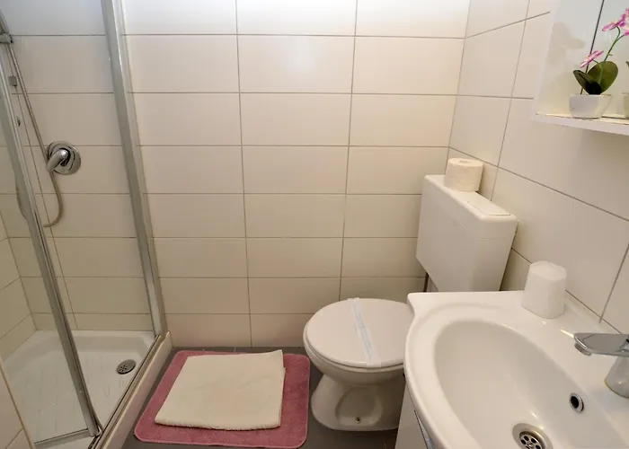 Ljiljana Appartamento Rovigno